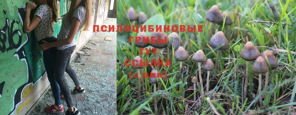 амф Надым